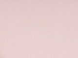 254 PINK 09 Switch