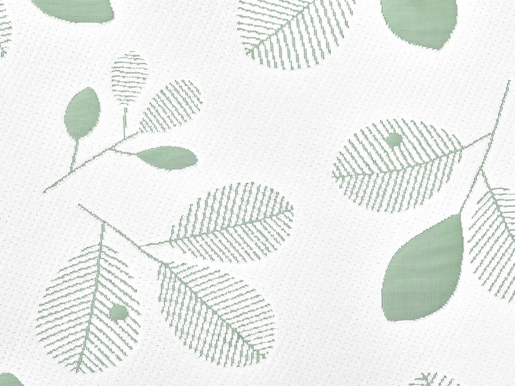 Clover 1