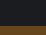 875 BLK Swatch2