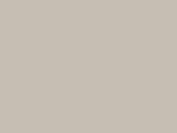 387EV BG Swatch
