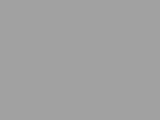 285 G Swatch