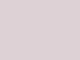 285 P Swatch
