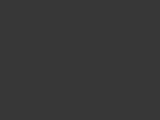 302 BLK Swatch