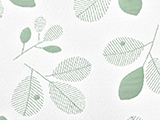 Clover 1