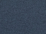 613 NAVY Swatch