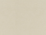 614 SHELL Swatch