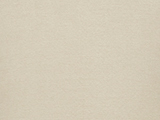 616 SHELL Swatch