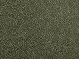 611AN GRN Swatch