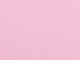B2006 PNK Swatch