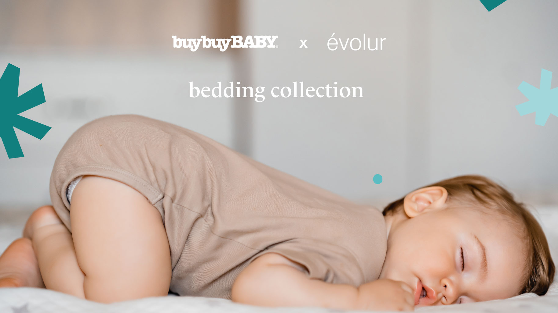Bbb Evolur Bedding Collection