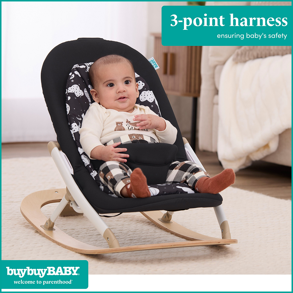 buybuy Baby by Evolur SleekSway Portable Rocker