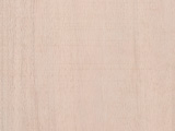 930 Antilia Swatch