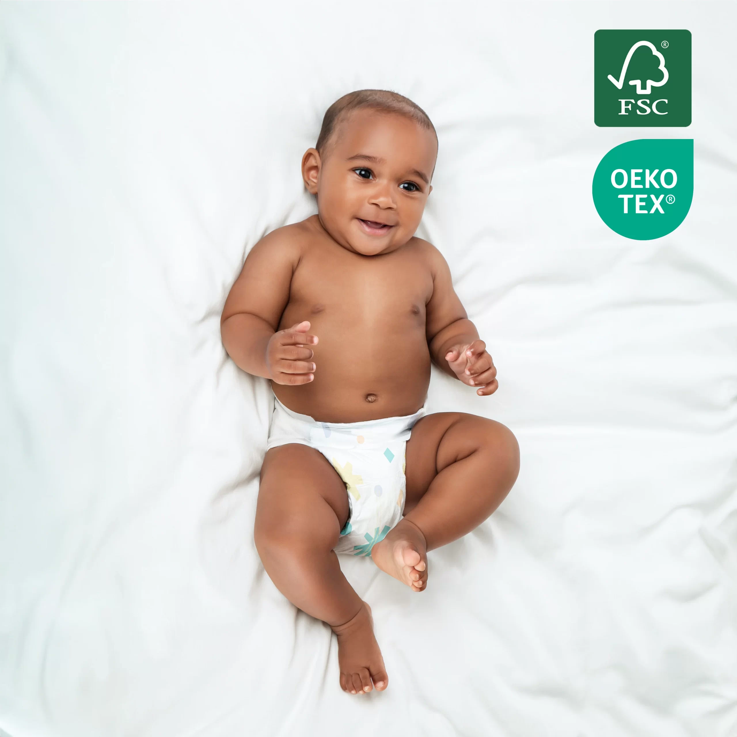 BBB211 1 GRAPHICS 02 1 Scaled