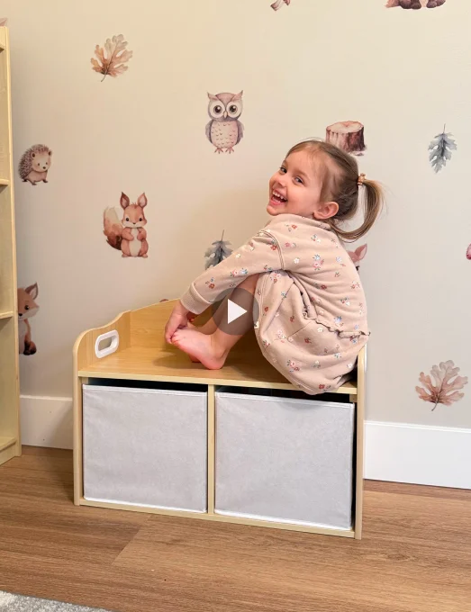 Reel 2.9 Playthings Storage Bench V1