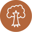 Made With Premium Alpine Oak